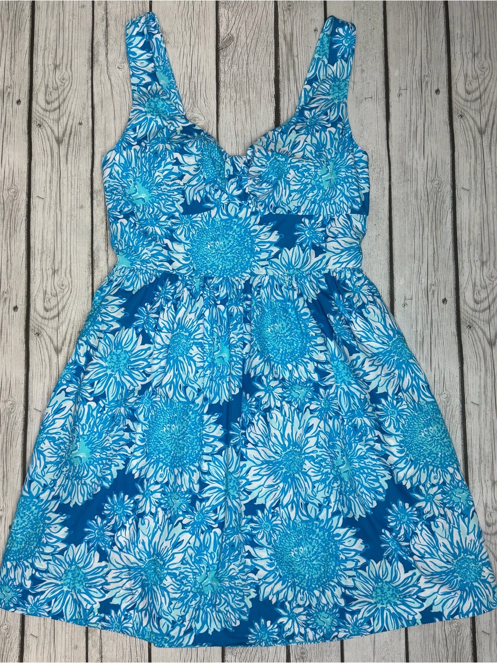 Lilly Pulitzer Women's 4 Blue Lion In The Sun Floral Fit & Flare Sun Dress